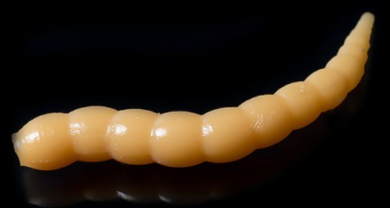 Bufworm 45mm 037 Garlic