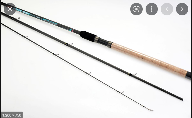Arca Pro Licence trout 3.90meter tot 30gr
