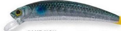 Herakles Teser 50SS SW 2.5GR 50MM Blue Fish