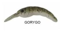 images/productimages/small/moth-gorygo.jpg