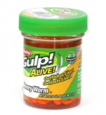 Gulp! Alive Honey worms; Fluo Orange