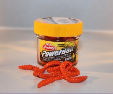 Garlic Power Honey worm (Orange)