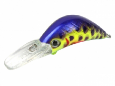 FTM Masu Security Wobbler 05