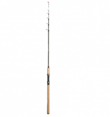 Arca Trout catch Tele 2.40m up to 20gr
