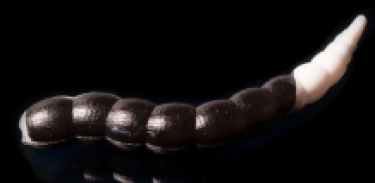 Bufworm 65mm 205Bubblegum