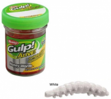 Gulp! Alive Honey worms; White