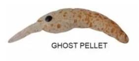 Herakles Moth Sinking 2.4GR 37MM Ghost Pellet