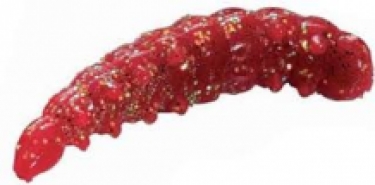 (Red scales) Honey Worms